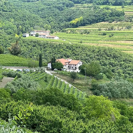 Cascina Capo * Negrar