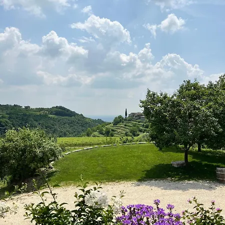 Cascina Capo Negrar